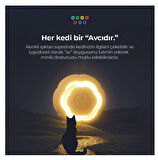 Neutron Akıllı Kendinden Hareketli Interaktif Kedi Köpek Topu