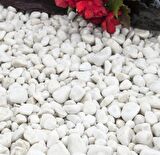 Beyaz Dolomit Taşı 2 Kg 1-2 Cm Dolomit Taş Akvaryum Dekorasyonu Dere Çakılı Mezar Taşı Bahçe Süs Taşı Mezar Süsleme Taşı