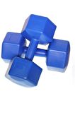 Leyaton 10 Kg X 2 Adet 20 Kg Dambıl Seti, Dumbell Set Dumbell 2x10 kg