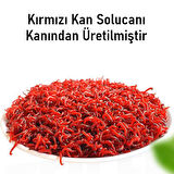 Valkyrie Balık Çekici Aroma 60 ml Sıvı Attractor Güçlü Yem Katkısı Yem Güçlendirici 