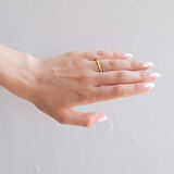 Çelik Yüzük Kadın Altın Kaplama 2'li Adana Burma YZK-461