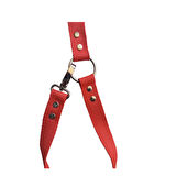 Köpek Kedi Araç Tasması