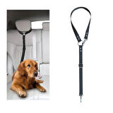 Köpek Kedi Araç Tasması