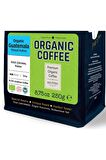 Moliendo Organic Guatemala Shb Yöresel Kahve ( Çekirdek Kahve ) 250 G.