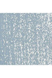 Caran d'Ache Neopastel Yumuşak Yağlı Pastel Steel Grey 004