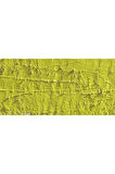 Caran d'Ache Neopastel Yumuşak Yağlı Pastel Olive Yellow 015