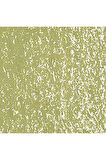 Caran d'Ache Neopastel Yumuşak Yağlı Pastel Khaki Green 016