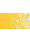 Caran d'Ache Neopastel Yumuşak Yağlı Pastel Golden Yellow 020