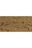 Caran d'Ache Neopastel Yumuşak Yağlı Pastel Brown Ochre 037