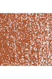Caran d'Ache Neopastel Yumuşak Yağlı Pastel Russet 065