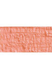 Caran d'Ache Neopastel Yumuşak Yağlı Pastel Salmon Pink 071