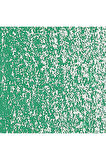 Caran d'Ache Neopastel Yumuşak Yağlı Pastel Greyish Green 215