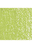 Caran d'Ache Neopastel Yumuşak Yağlı Pastel Light Olive 245