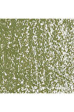 Caran d'Ache Neopastel Yumuşak Yağlı Pastel Olive 249