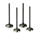 Subap Valfı Emme – 641015 Wisco – Opel Astra F / Corsa B 1.4 (1.4 Dr-C1.4 Se-X1.4sz) Uyumlu