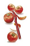 Victorinox 7.6075.1 Soyacak-Kırmızı