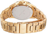 Pierre Cardin PCCF.1009.MG.2