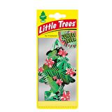 Little Trees Oto Kokusu Orman Ateşi