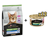 Pro Plan Hindili Kısırlaştırılmış +7 Yaşlı Kedi Maması 3 Kg + + 12 Adet Proplan Sterilised Ton ve Somonlu Kısırlaştırılmış Kedi Konservesi 85 Gr