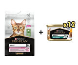 Pro Plan Delicate Kuzulu Yetişkin Kedi Maması 3 Kg +12 Adet Proplan Adult Tavuk Etli Yetişkin Kedi Konservesi 85 Gr 