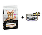 Pro Plan Kitten Tavuklu Yavru Kedi Maması 1.5 Kg + 12 Adet Proplan Junior Tavuk Etli Yavru Kedi Maması 85 Gr 