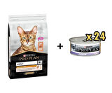 Pro Plan Kitten Tavuklu Yavru Kedi Maması 1.5 Kg+ 24 Adet Proplan Junior Tavuk Etli Yavru Kedi Maması 85 Gr  