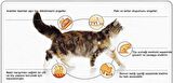 ProPlan Elegant Hassas Deri Somonlu Kedi Maması 1 Kg AÇIK