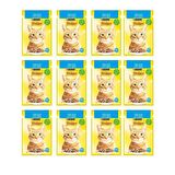 Friskies Somonlu Soslu Yaş Kedi Maması 85 gr X 12 Adet