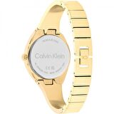 Calvin Klein Ck25200235 Kadın Kol Saati