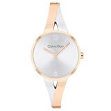 CALVIN KLEIN CK25100028 KADIN KOL SAATİ