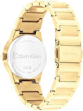 Calvin Klein Ck25100077 Kadın Kol Saati