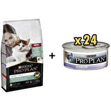 Pro Plan Live Clear Kitten Hindili Yavru Kedi Maması 1.4 kg + 24 Adet Proplan Junior Tavuk Etli Yavru Kedi Maması 85 Gr