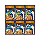 Felix Sensation Tavuk & Havuçlu Kedi Yaş Mama 85 Gr X 6 Adet