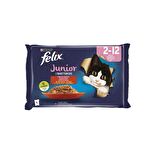 Felix Tavuklu Yavru Kedi Yaş Maması Eko Paket 85 Gr 24 Lü