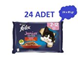 Felix Tavuklu Yavru Kedi Yaş Maması Eko Paket 85 Gr 24 Lü