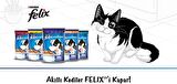Felix Tavuklu Yavru Kedi Yaş Maması Eko Paket 85 Gr 24 Lü
