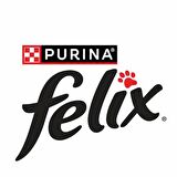 Felix Tavuklu Yavru Kedi Yaş Maması Eko Paket 85 Gr 24 Lü