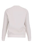 Krem Erkek Bisiklet Yaka Normal Kalıp Sweatshirt Z4YQ16KAIJ1SCFY-NEW ALDWIN CN SWEAT