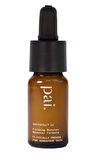 Pai Phytofill - Sıkılık Güçlendirici 10 ml 