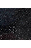 Caran d'Ache Pastel Kalem Black 009