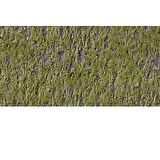 Caran d'Ache Pastel Kalem Light Reseda 017