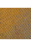 Caran d'Ache Pastel Kalem Raw Sienna 036