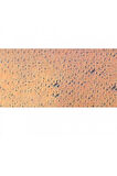 Caran d'Ache Pastel Kalem Flesh 042