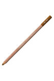 Caran d'Ache Pastel Kalem Bistre 047