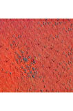 Caran d'Ache Pastel Kalem Vermilion 060