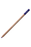 Caran d'Ache Pastel Kalem Violet 120