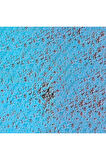 Caran d'Ache Pastel Kalem Light Blue 161