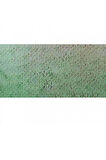 Caran d'Ache Pastel Kalem Chromium Oxide Green 212