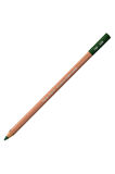 Caran d'Ache Pastel Kalem Dark Green 229