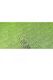 Caran d'Ache Pastel Kalem Light Olive 20% 243